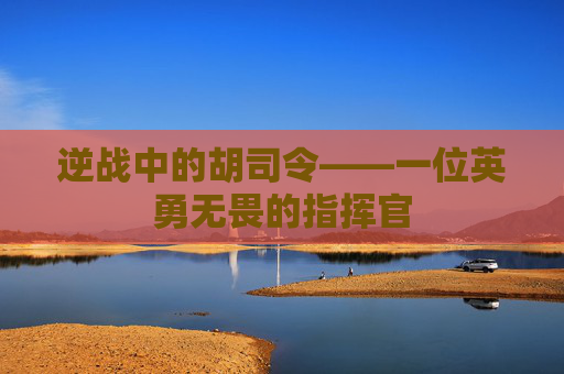 逆战中的胡司令——一位英勇无畏的指挥官