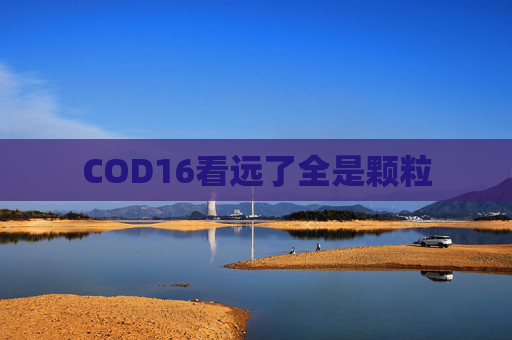 COD16看远了全是颗粒 COD16看远了全是颗粒