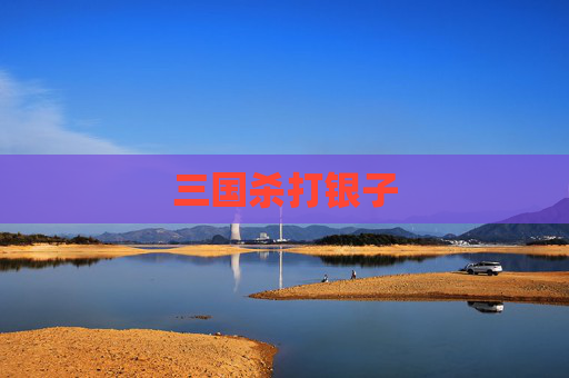 三国杀打银子 三国杀打银子