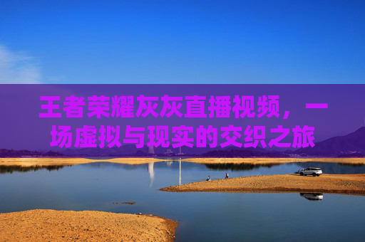 王者荣耀灰灰直播视频,一场虚拟与现实的交织之旅 王者荣耀灰灰直播视频,一场虚拟与现实的交织之旅