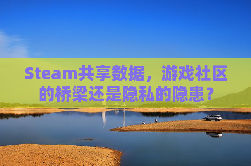 Steam共享数据,游戏社区的桥梁还是隐私的隐患? Steam共享数据,游戏社区的桥梁还是隐私的隐患?