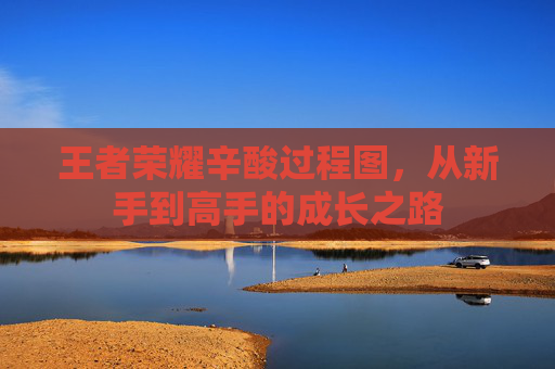 王者荣耀辛酸过程图,从新手到高手的成长之路 王者荣耀辛酸过程图,从新手到高手的成长之路