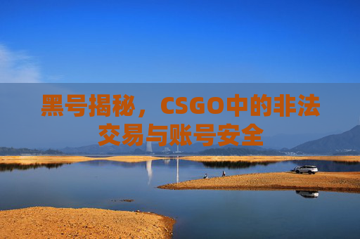 黑号揭秘,CSGO中的非法交易与账号安全 黑号揭秘,CSGO中的非法交易与账号安全