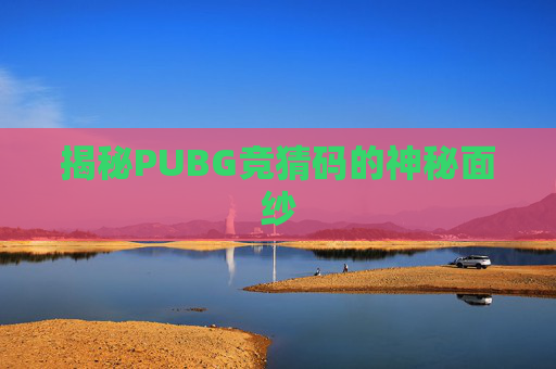 揭秘PUBG竞猜码的神秘面纱 揭秘PUBG竞猜码的神秘面纱
