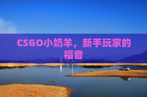 CSGO小奶羊,新手玩家的福音 CSGO小奶羊,新手玩家的福音