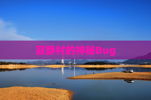 寂静村的神秘Bug 寂静村的神秘Bug