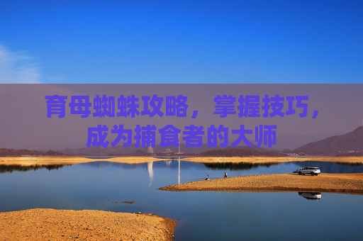 育母蜘蛛攻略，掌握技巧，成为捕食者的大师