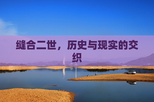 缝合二世，历史与现实的交织