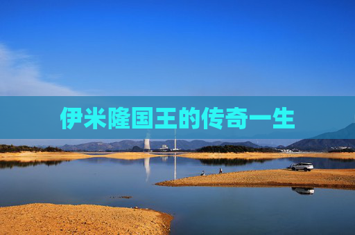 伊米隆国王的传奇一生 伊米隆国王的传奇一生