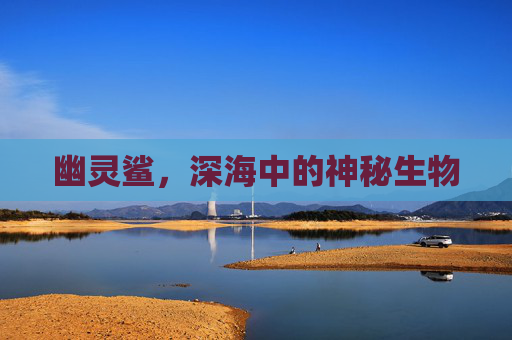 幽灵鲨,深海中的神秘生物 幽灵鲨,深海中的神秘生物