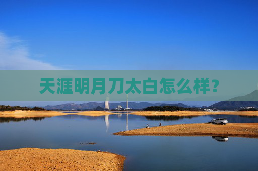 天涯明月刀太白怎么样? 天涯明月刀太白怎么样?