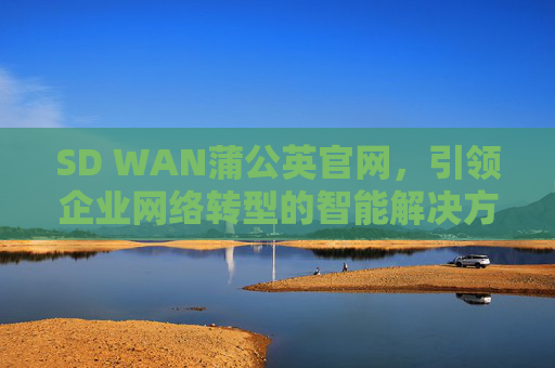 SD WAN蒲公英官网，引领企业网络转型的智能解决方案