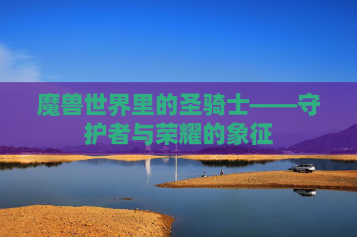 魔兽世界里的圣骑士——守护者与荣耀的象征