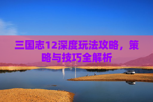 三国志12深度玩法攻略,策略与技巧全解析 三国志12深度玩法攻略,策略与技巧全解析