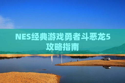 NES经典游戏勇者斗恶龙5攻略指南 NES经典游戏勇者斗恶龙5攻略指南