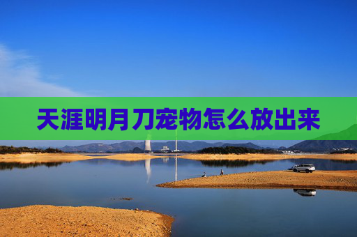 天涯明月刀宠物怎么放出来