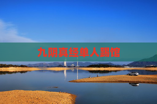 九阴真经单人踢馆 九阴真经单人踢馆