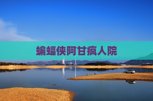 蝙蝠侠阿甘疯人院 蝙蝠侠阿甘疯人院