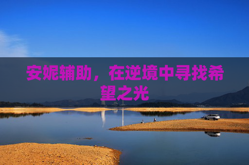 安妮辅助,在逆境中寻找希望之光 安妮辅助,在逆境中寻找希望之光