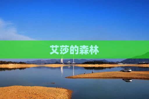 艾莎的森林 艾莎的森林