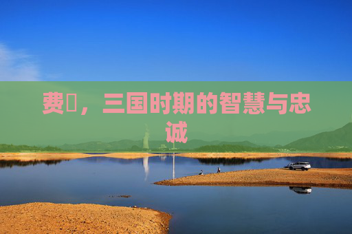 费祎,三国时期的智慧与忠诚 费祎,三国时期的智慧与忠诚