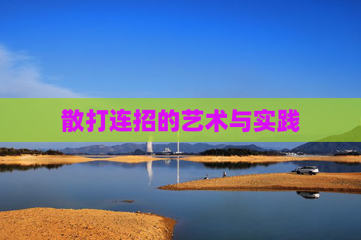 散打连招的艺术与实践
