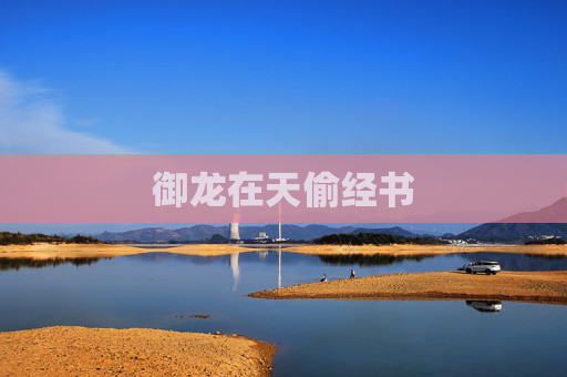 御龙在天偷经书 御龙在天偷经书
