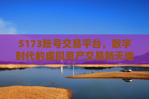 5173账号交易平台,数字时代的虚拟资产交易新天地 5173账号交易平台,数字时代的虚拟资产交易新天地