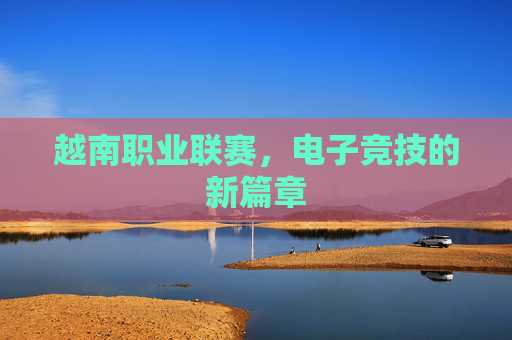 越南职业联赛,电子竞技的新篇章 越南职业联赛,电子竞技的新篇章