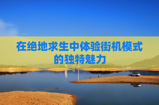 在绝地求生中体验街机模式的独特魅力 在绝地求生中体验街机模式的独特魅力