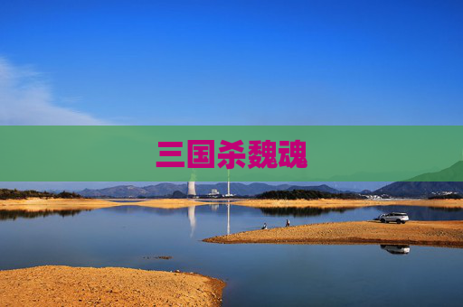 三国杀魏魂 三国杀魏魂