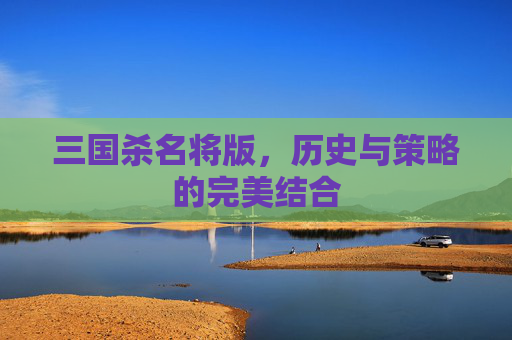 三国杀名将版,历史与策略的完美结合 三国杀名将版,历史与策略的完美结合