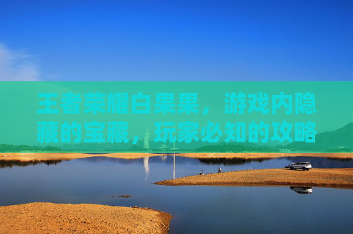 王者荣耀白果果,游戏内隐藏的宝藏,玩家必知的攻略 王者荣耀白果果,游戏内隐藏的宝藏,玩家必知的攻略