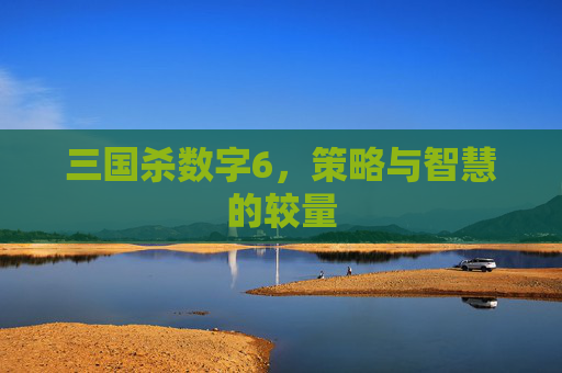 三国杀数字6,策略与智慧的较量 三国杀数字6,策略与智慧的较量