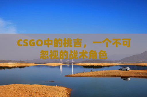 CSGO中的桃吉,一个不可忽视的战术角色 CSGO中的桃吉,一个不可忽视的战术角色