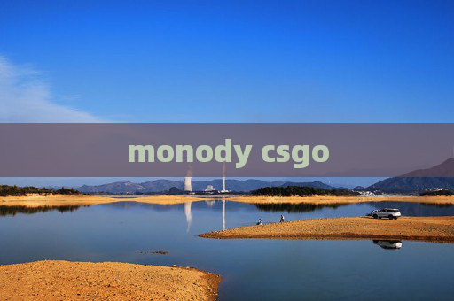 monody csgo