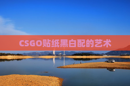 CSGO贴纸黑白配的艺术 CSGO贴纸黑白配的艺术