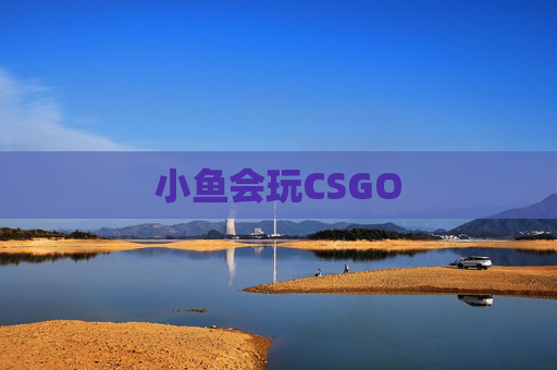小鱼会玩CSGO 小鱼会玩CSGO
