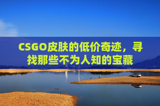 CSGO皮肤的低价奇迹,寻找那些不为人知的宝藏 CSGO皮肤的低价奇迹,寻找那些不为人知的宝藏