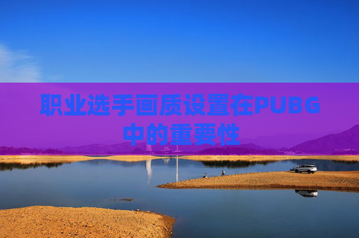 职业选手画质设置在PUBG中的重要性 职业选手画质设置在PUBG中的重要性