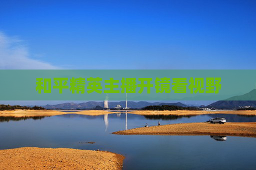 和平精英主播开镜看视野