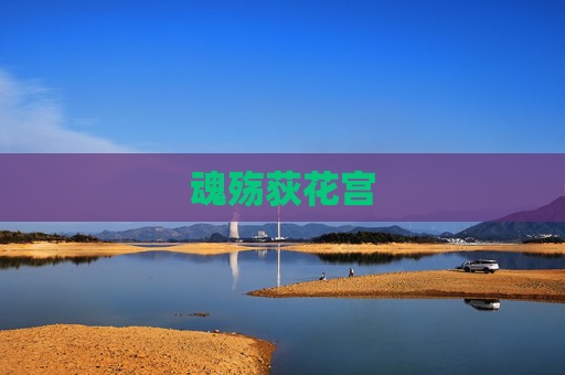 魂殇荻花宫