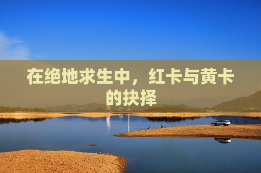 在绝地求生中,红卡与黄卡的抉择 在绝地求生中,红卡与黄卡的抉择