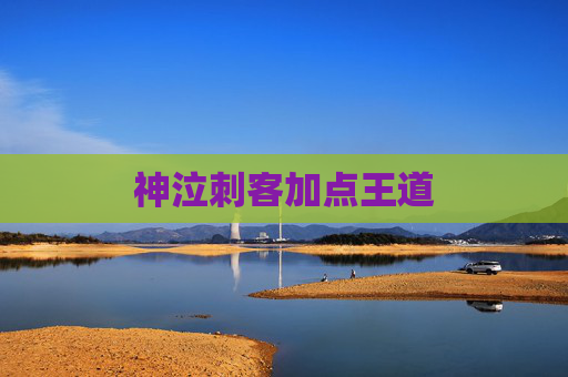 神泣刺客加点王道 神泣刺客加点王道