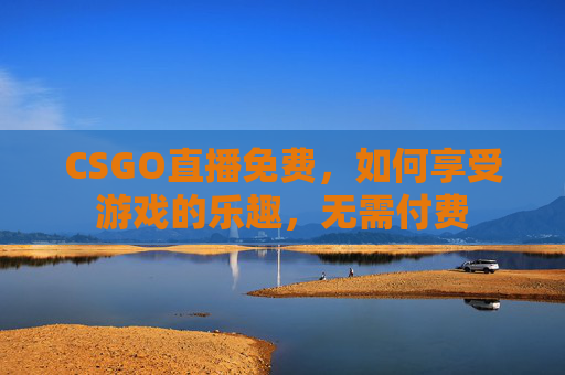 CSGO直播免费，如何享受游戏的乐趣，无需付费