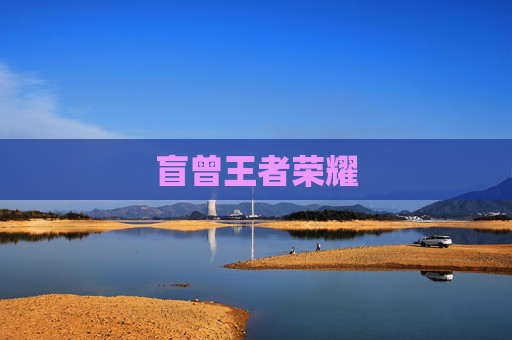 盲曾王者荣耀 盲曾王者荣耀