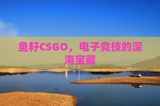鱼籽CSGO,电子竞技的深海宝藏 鱼籽CSGO,电子竞技的深海宝藏