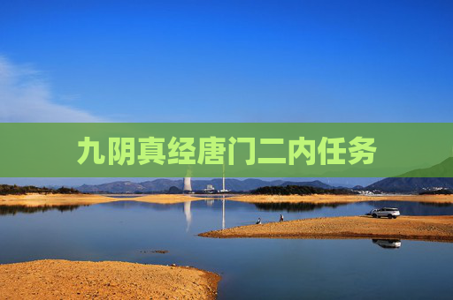 九阴真经唐门二内任务