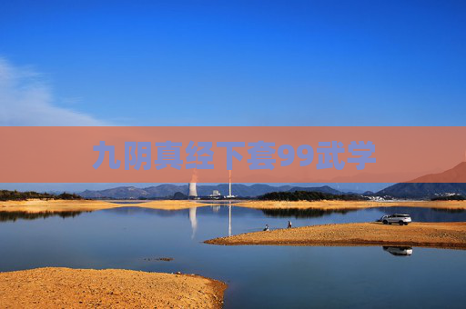 九阴真经下套99武学 九阴真经下套99武学
