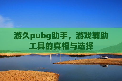 游久pubg助手，游戏辅助工具的真相与选择